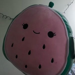 Wanda the Watermelon squishmallow